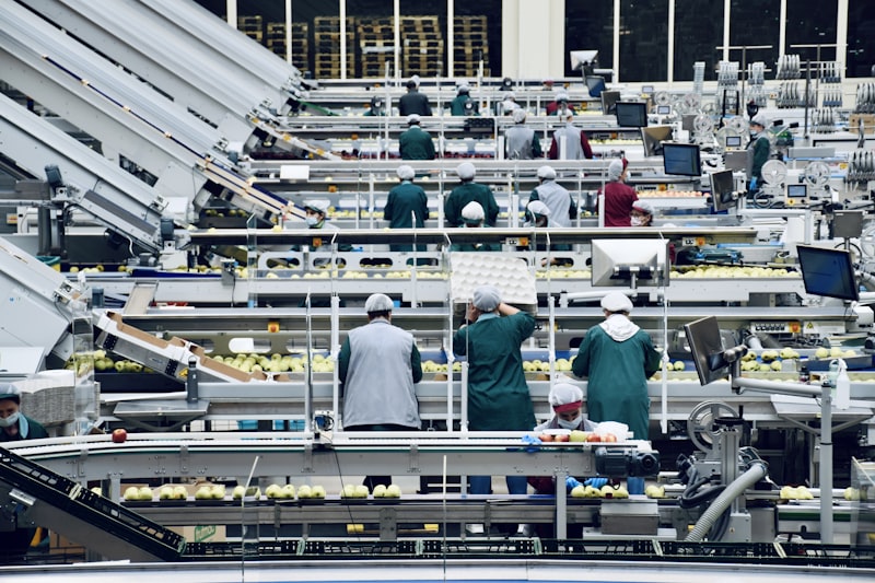 Workers on a food production line